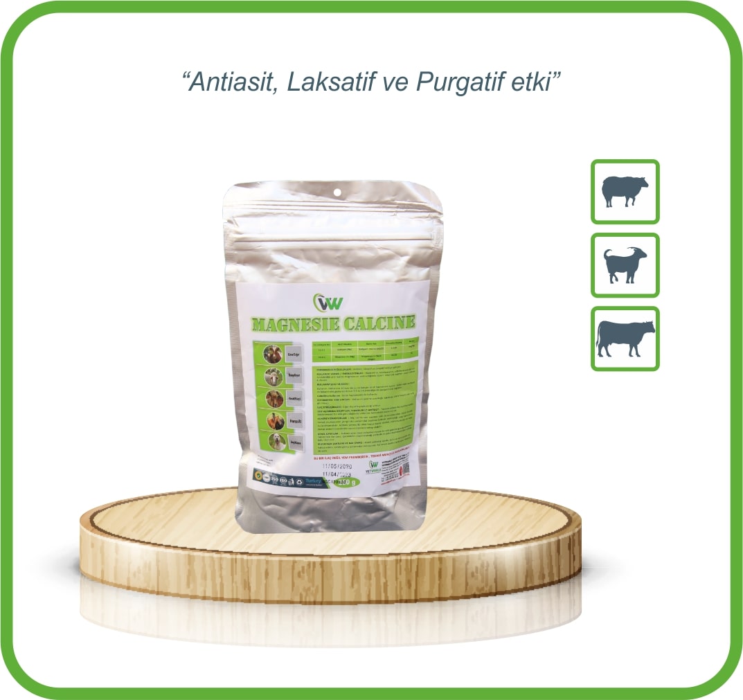 VW-ASIT DÜZENLEYİCİ